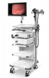 SonoScape HD-350 (ВЕТ) - фото - 2